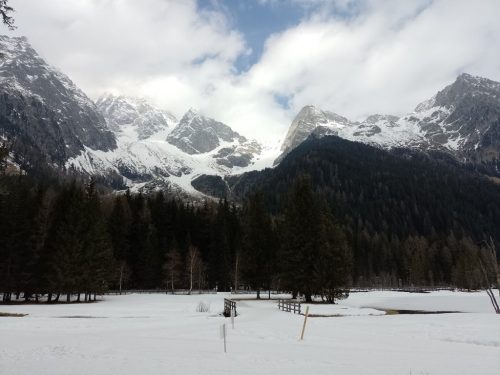 IMG 20260310 131051 818-FILEminimizer